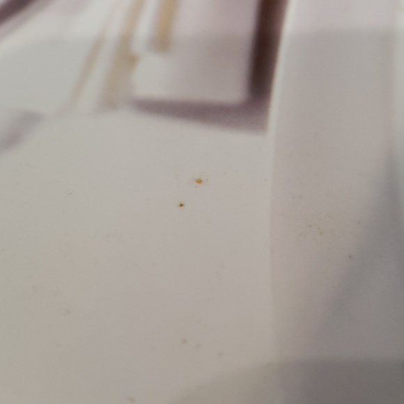 ☕ Pasta, Hardcover Cookbook - Picture 12 of 14